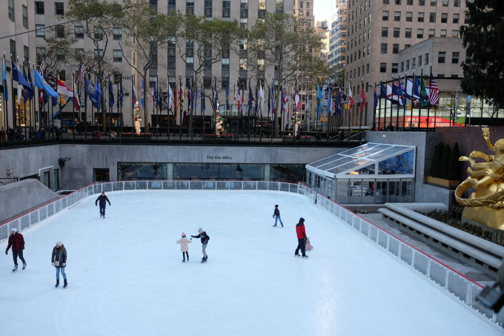 Things to Do for Christmas in New York 2023