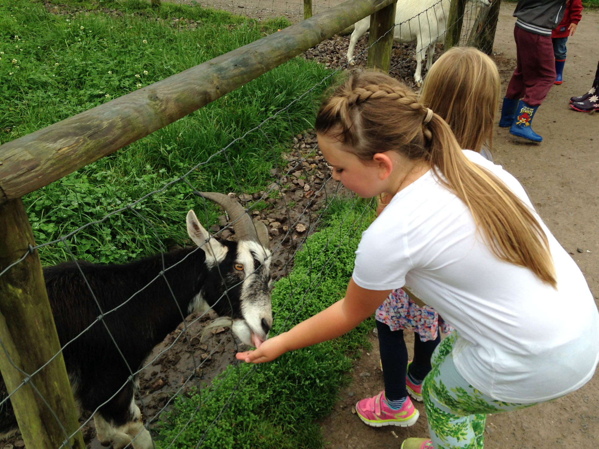 Wiggleys Fun Farm – You need to visit | Family Travel Blog