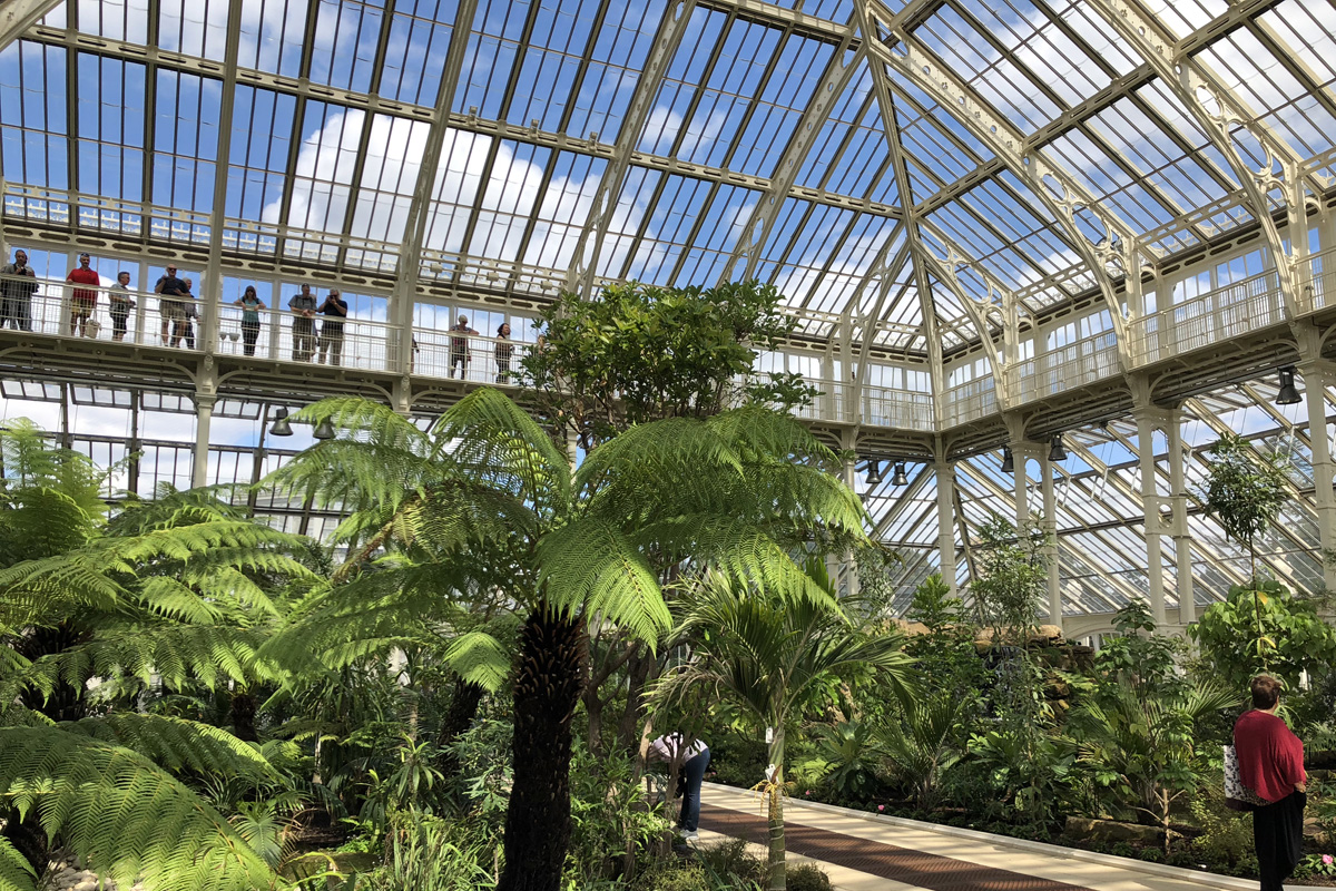 10 reasons why kids will love visiting Kew Gardens London – You need to ...