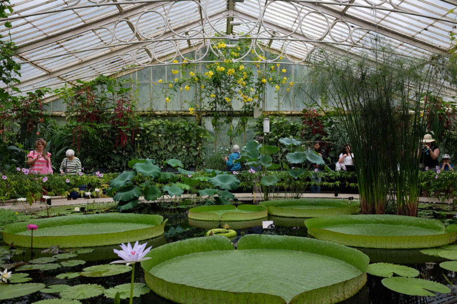 10 reasons why kids will love visiting Kew Gardens London – You need to ...