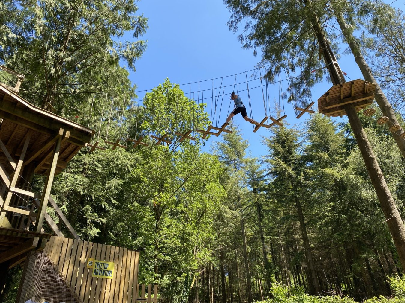 Top 15 Best High Rope Courses in the UK for Families: Detailed Guide ...